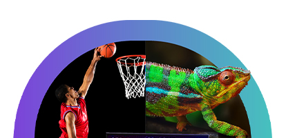 Visual collage of a basketball player and chameleon