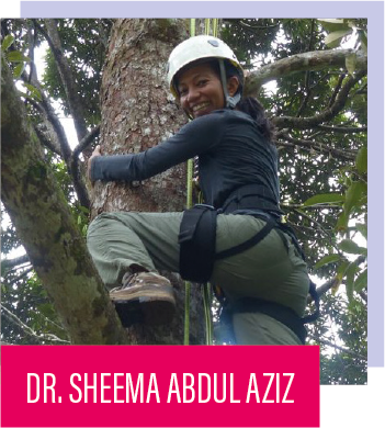 A photo of Dr. Sheema Abdul Aziz