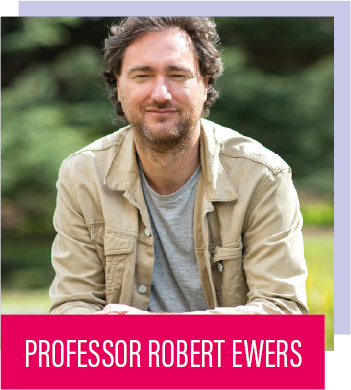 A photo of Professor Robert Evers