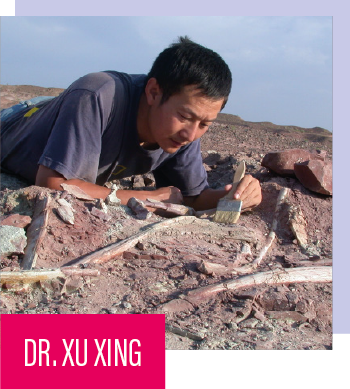 A photo of Dr. Xu Xing
